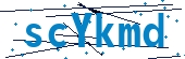 recaptcha